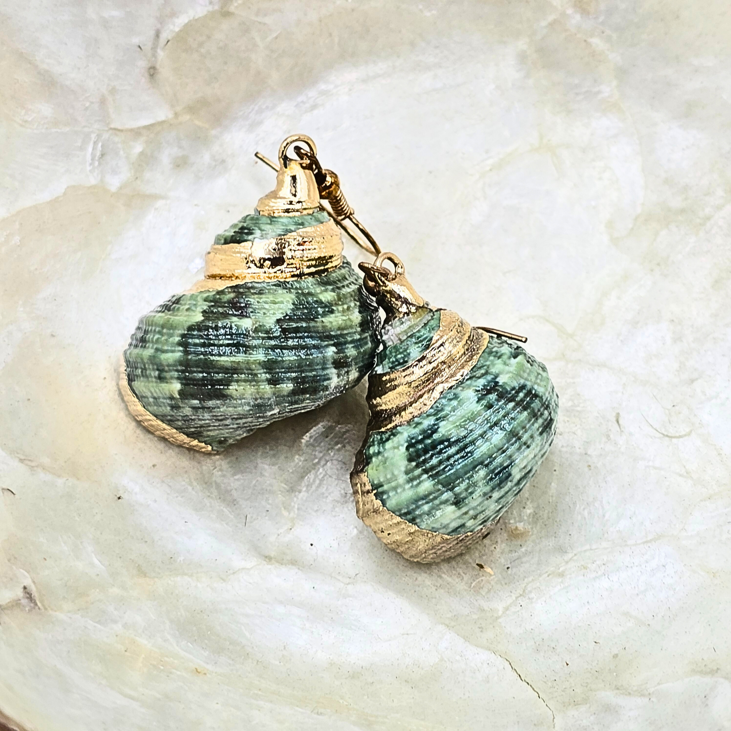 Green Shell Earrings