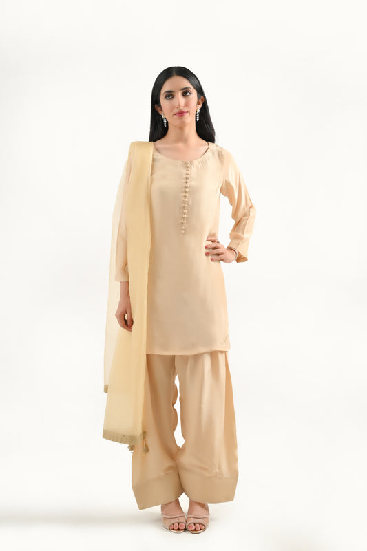 Skin Farshi Set-3 Pc (available on LAAM)