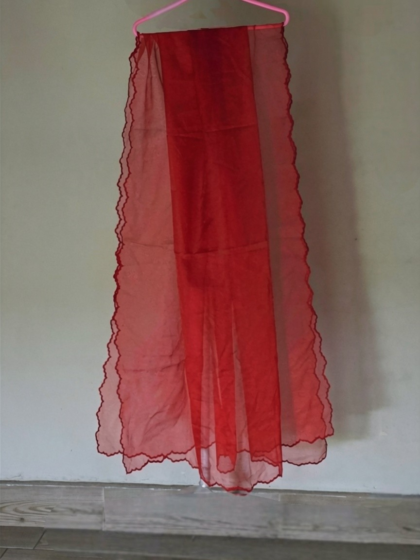 Cutwork Crimson Organza Dupatta