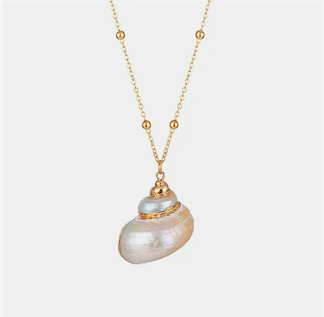 Sea Shell Necklace