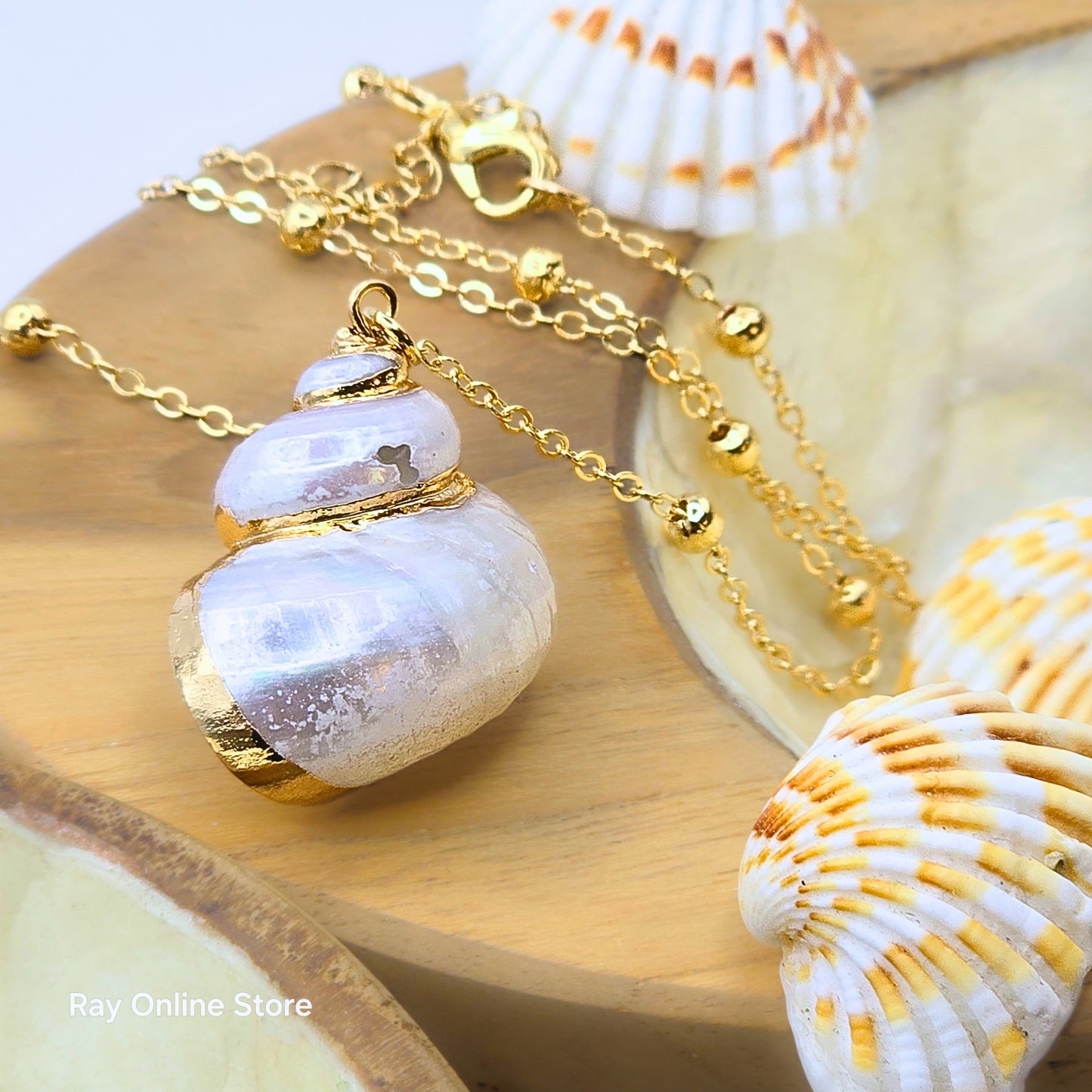 Sea Shell Necklace