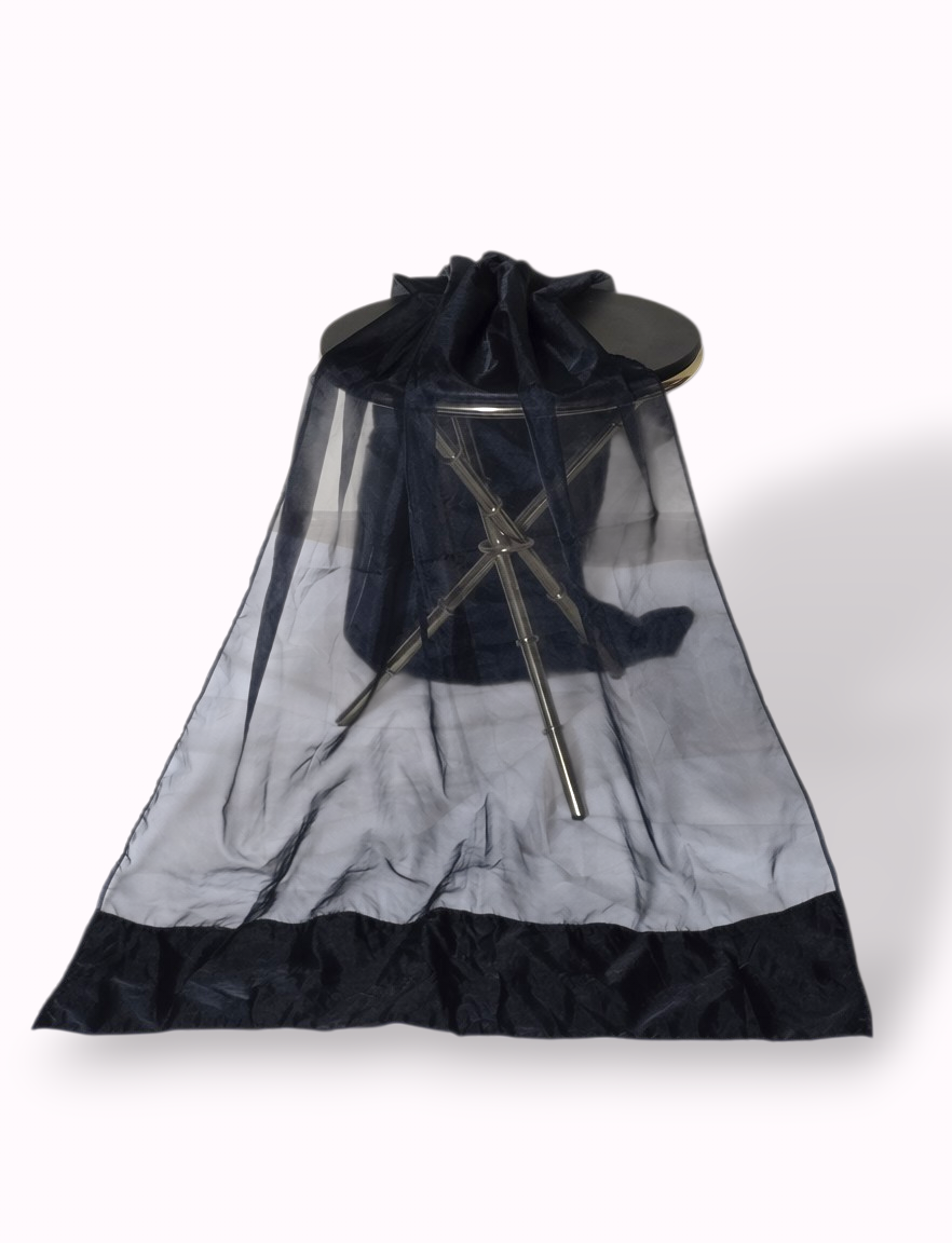 Black Organza Dupatta