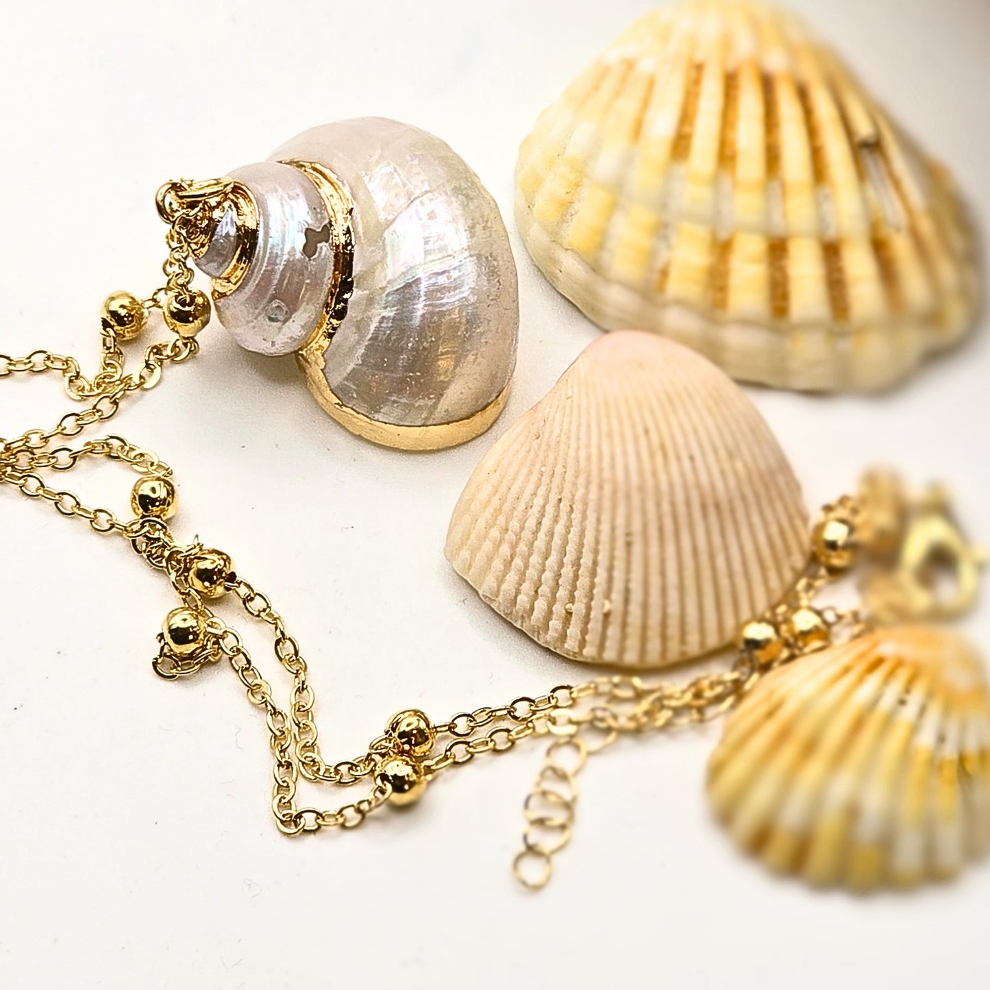 Sea Shell Necklace