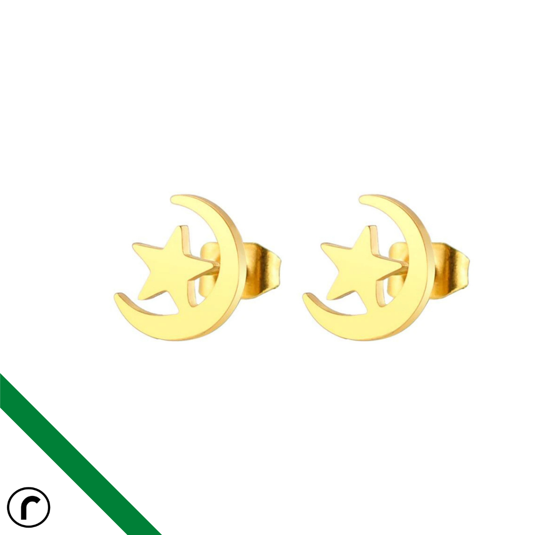 Star and Moon Studs